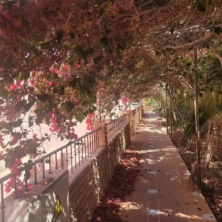 Apartamento Oasis Costa Adeje (Tenerife)